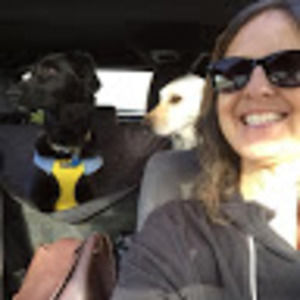 Meet your Posher, Robin